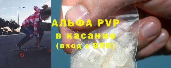СК Инта