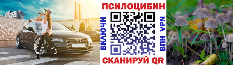 mega ТОР  Салаир  Псилоцибиновые грибы Psilocybe 